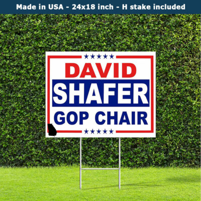 David Shafer Georgia Gop Chair Race Yard Sign