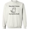 Cat Lover They Don’t Know My Tummy Hurts Shirt 2