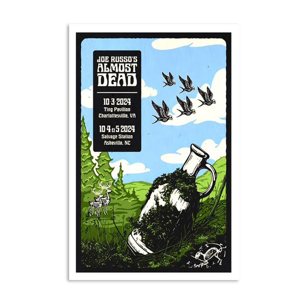 Joe Russo's Almost Dead Ting Pavilion Charlottesville Va Oct 03 2024 Poster