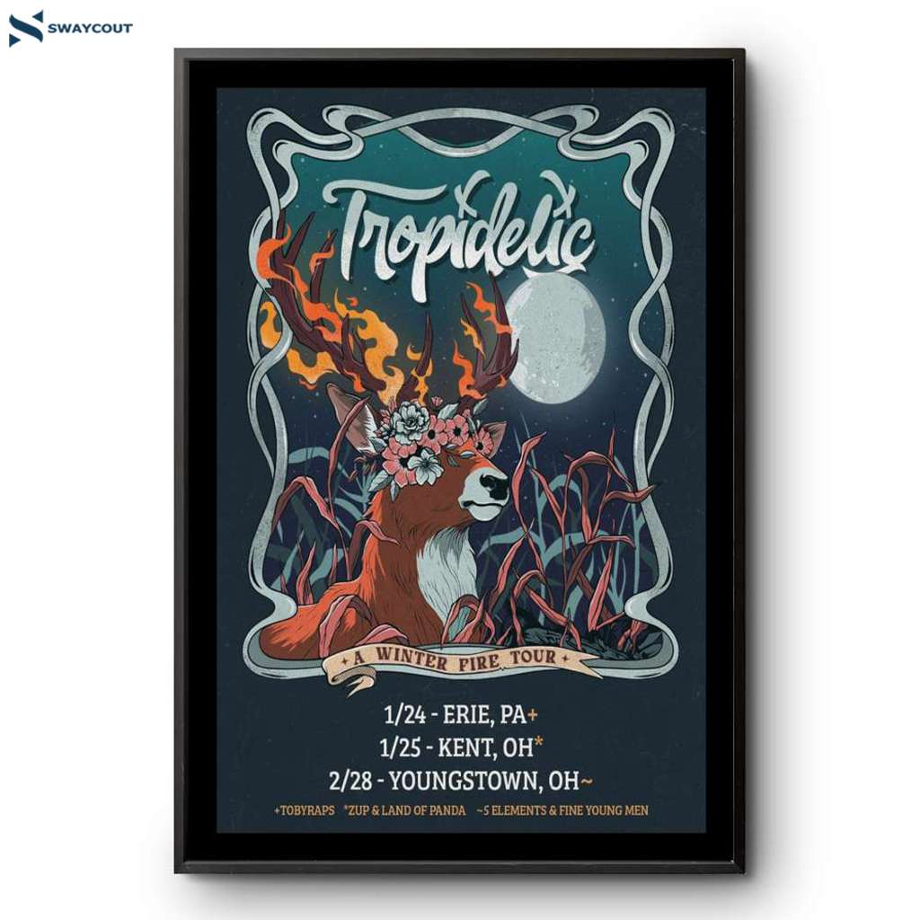 Tropidelic Witer Tour Fire 2025 Poster