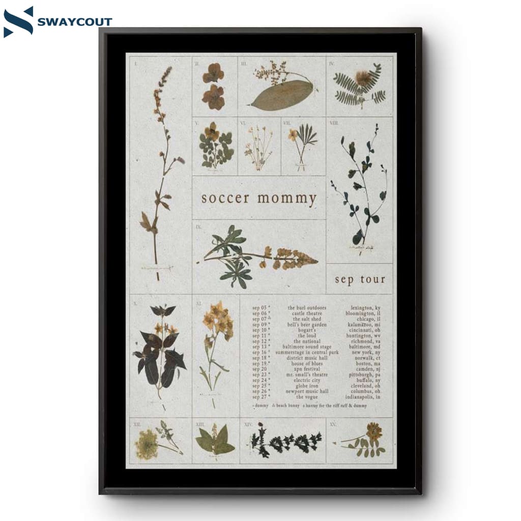Soccer Mommy Sep Tour 2025 Poster